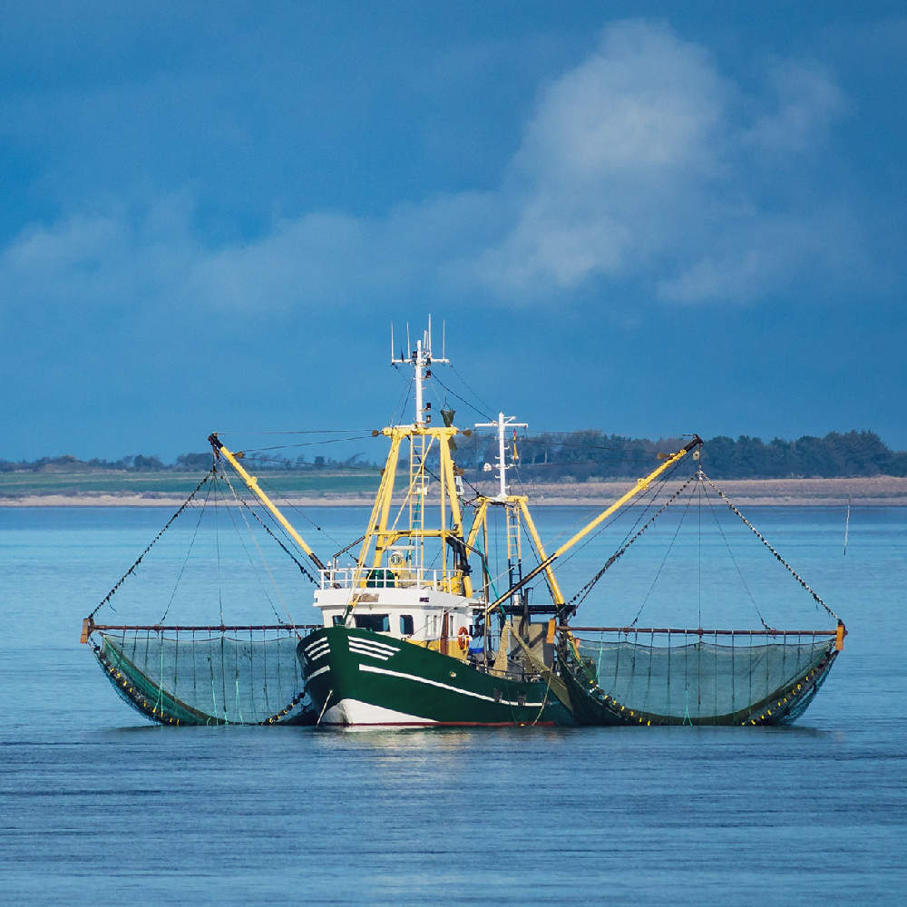 資源回復と持続可能な漁業の実現