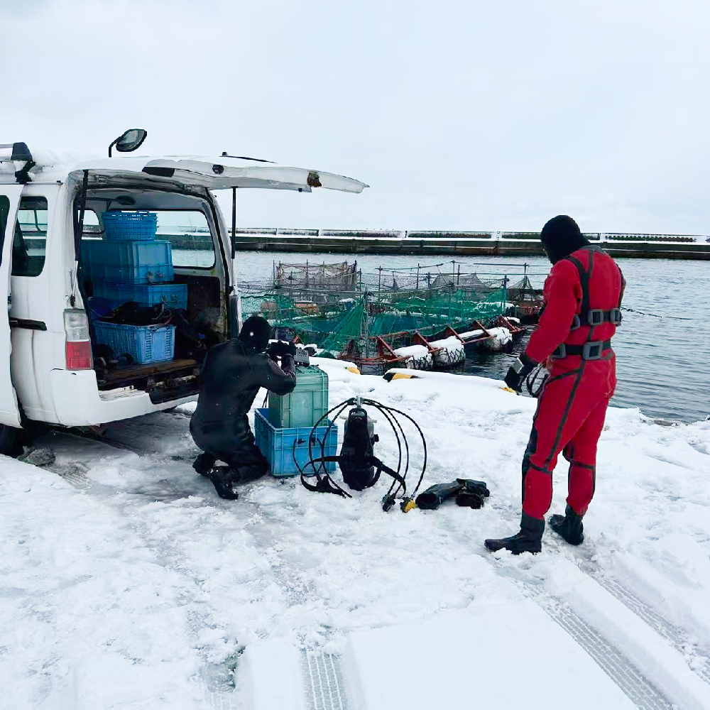 低コストで効率的な養殖モデル