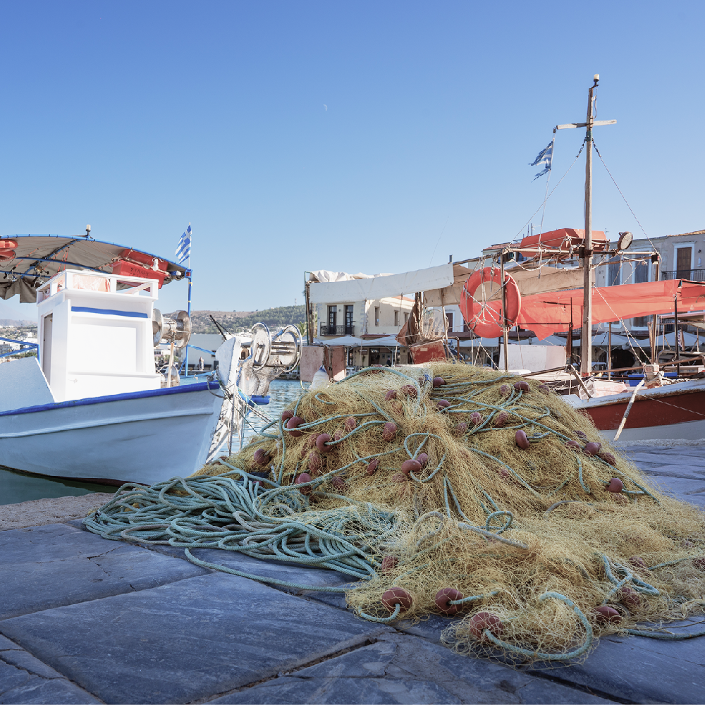地域連携による資源管理と密漁防止