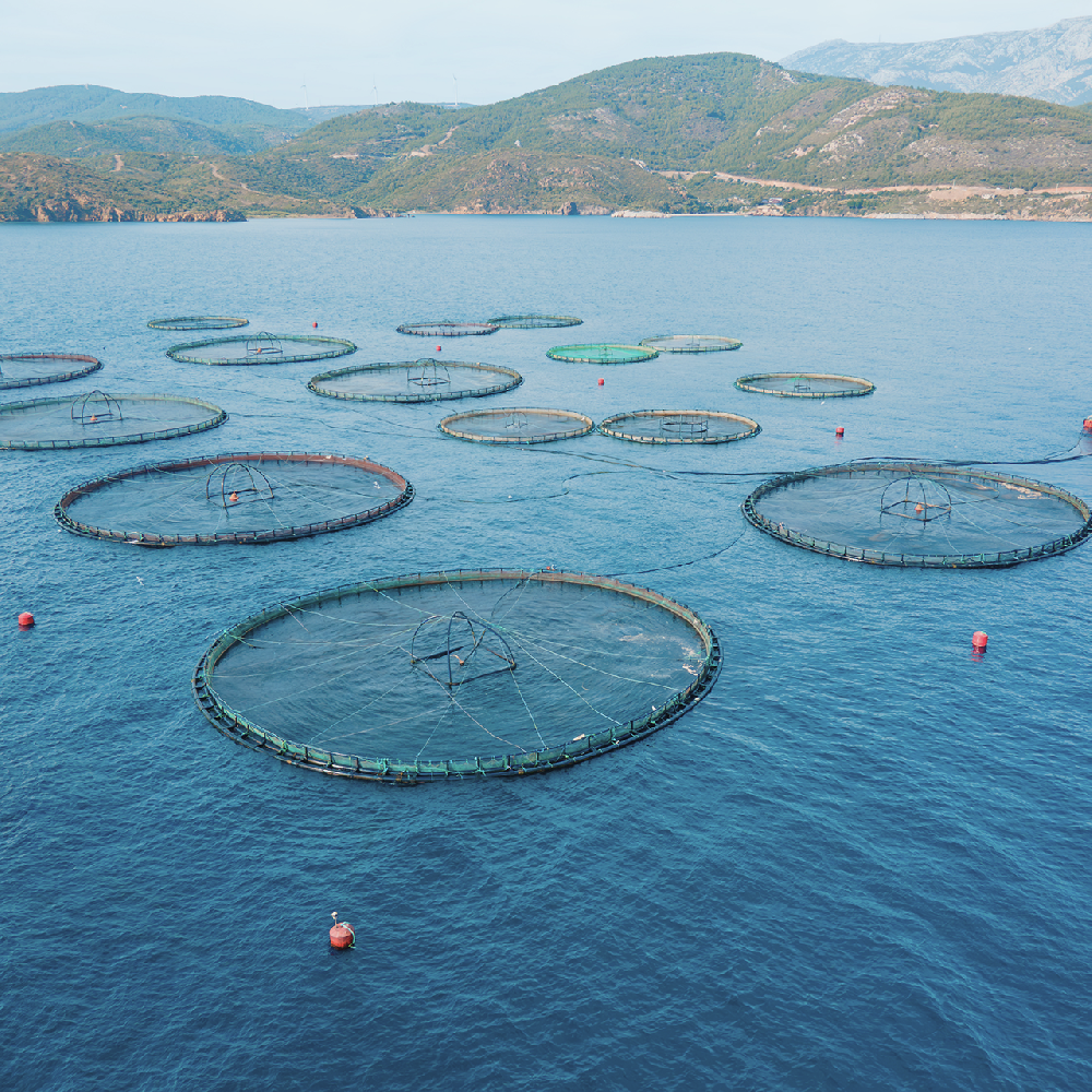 国・自治体支援制度との高い親和性